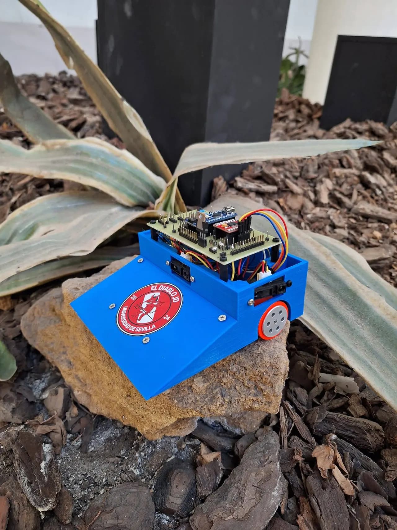 Minisumo azul El Diablo JD, con cuña baja y la electrónica a la vista